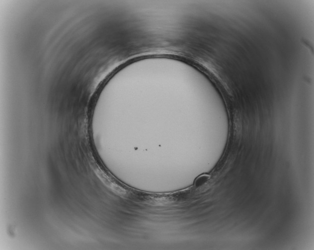 X0000100191460200806201346