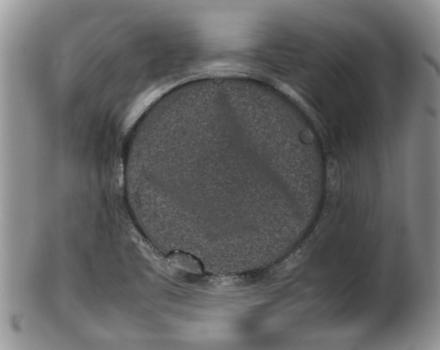 X0000100191461200806201346