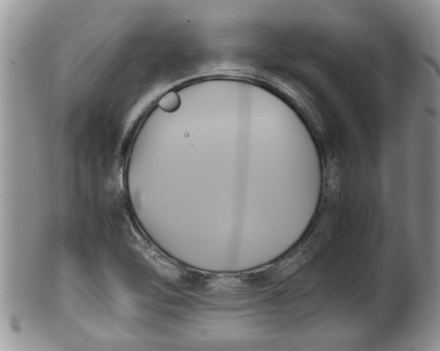 X0000100191462200806201346
