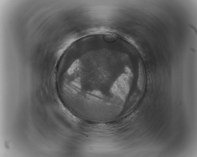 X0000100191463200806201346