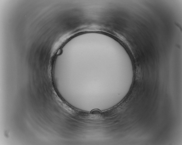 X0000100191464200806201346