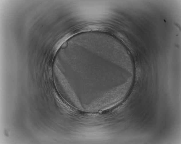 X0000100191465200806201346