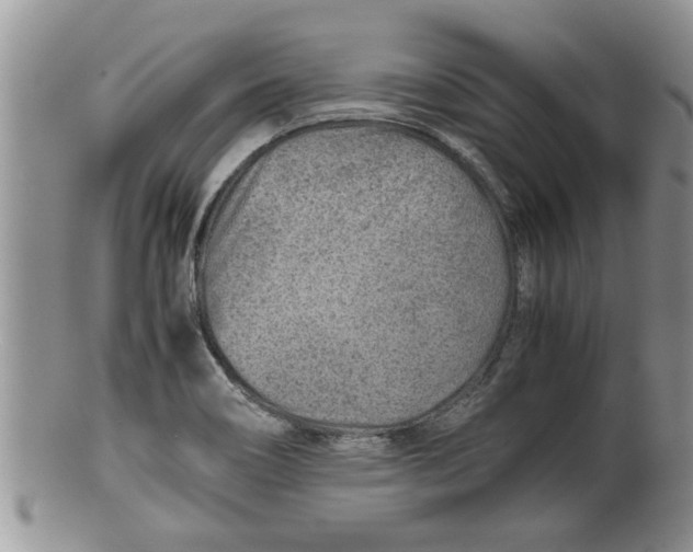 X0000100191466200806201346