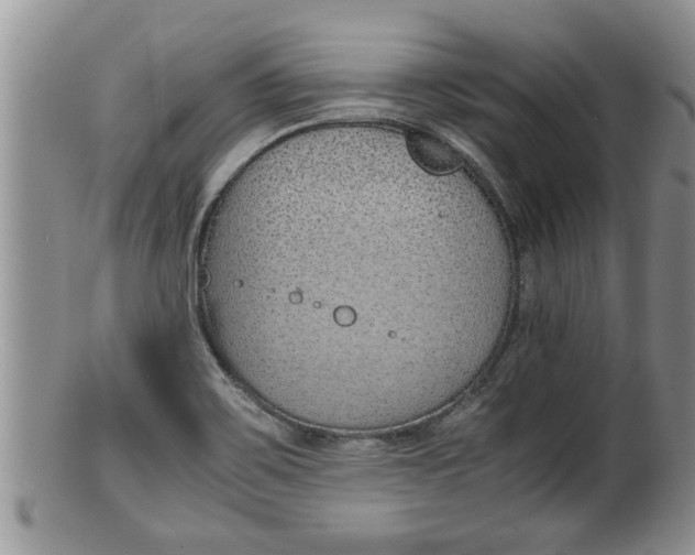 X0000100191467200806201346