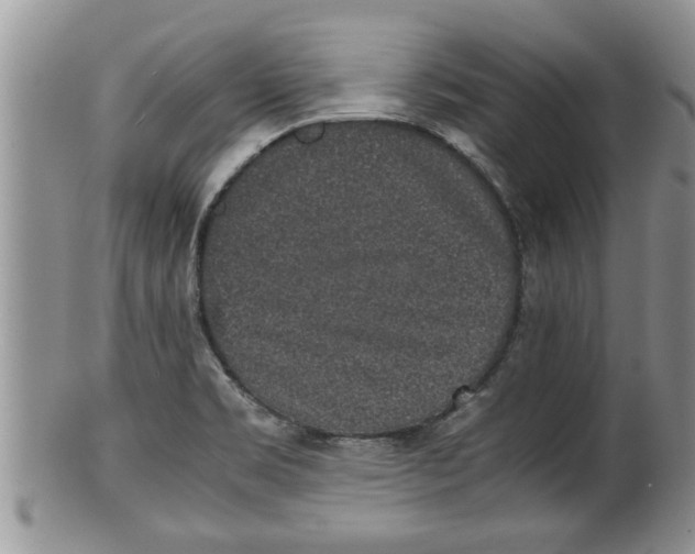 X0000100191469200806201346