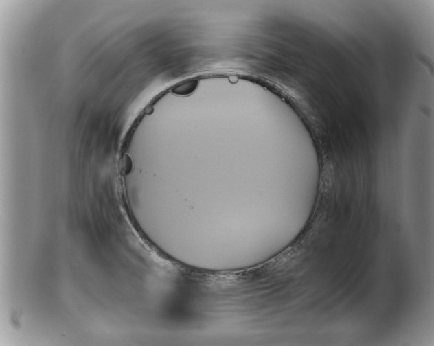 X0000100191470200806201346