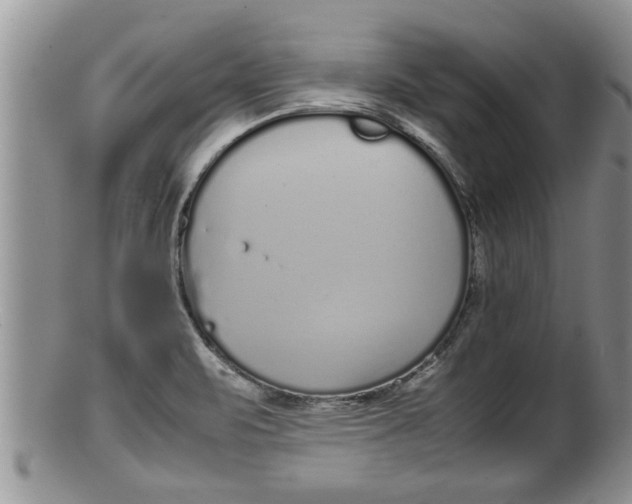 X0000100191471200806201346