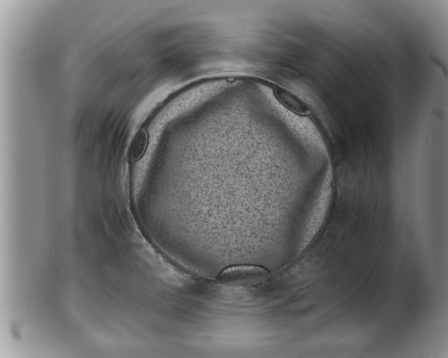 X0000100191472200806201346