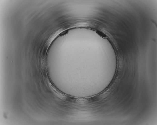 X0000100191473200806201346