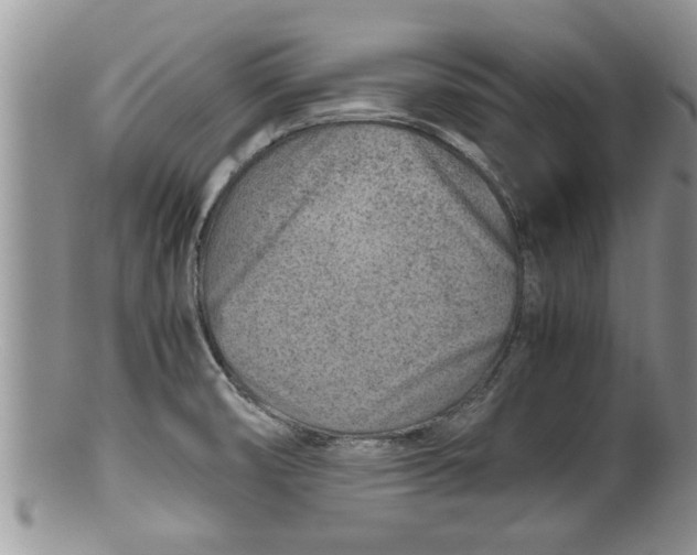 X0000100191474200806201346