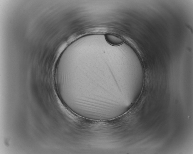 X0000100191475200806201346