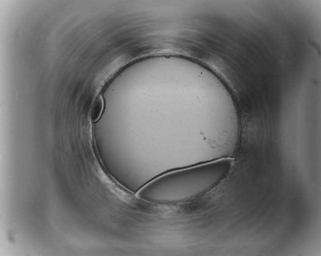 X0000100191476200806201346