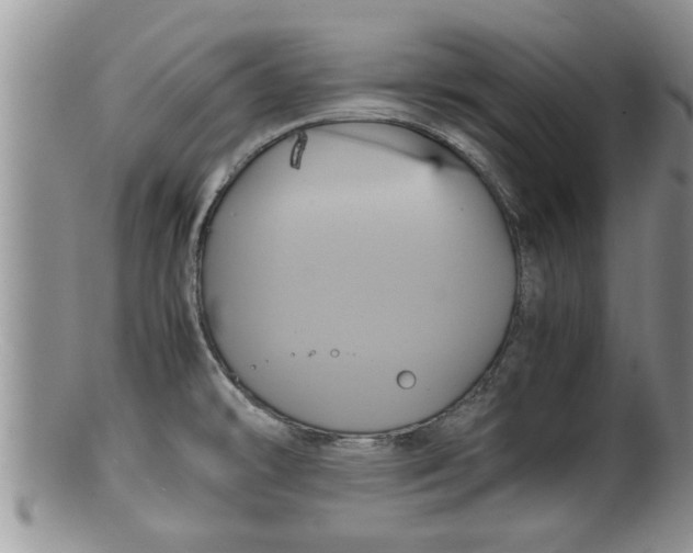 X0000100191478200806201346
