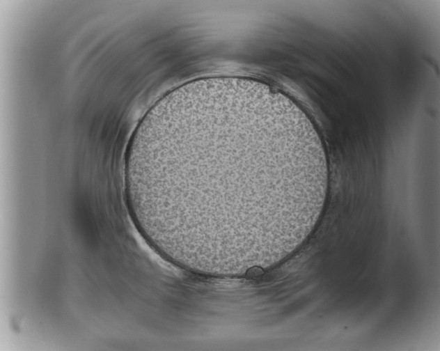 X0000100191479200806201346