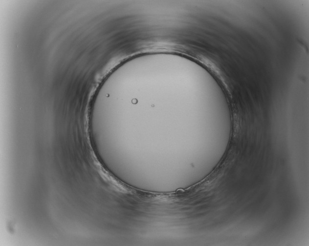 X0000100191480200806201346