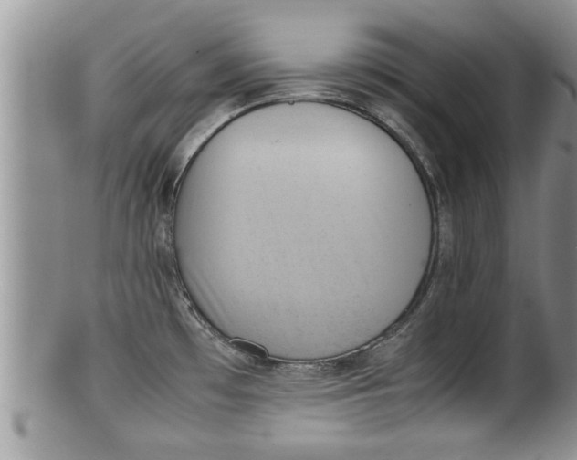 X0000100191481200806201346