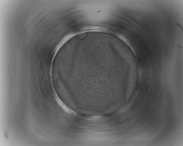 X0000100191482200806201346