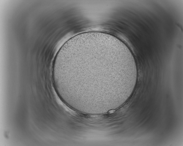 X0000100191483200806201346
