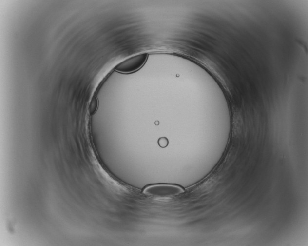 X0000100191484200806201346