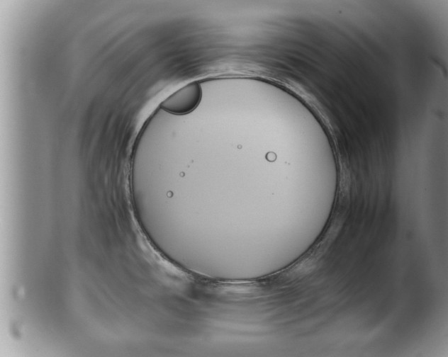 X0000100191486200806201346