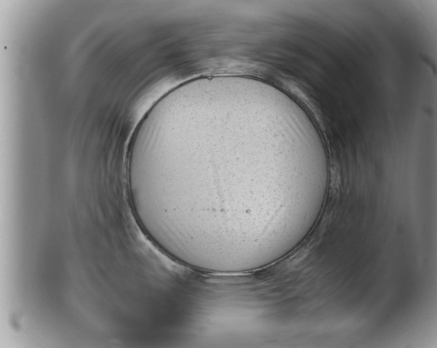X0000100191487200806201346