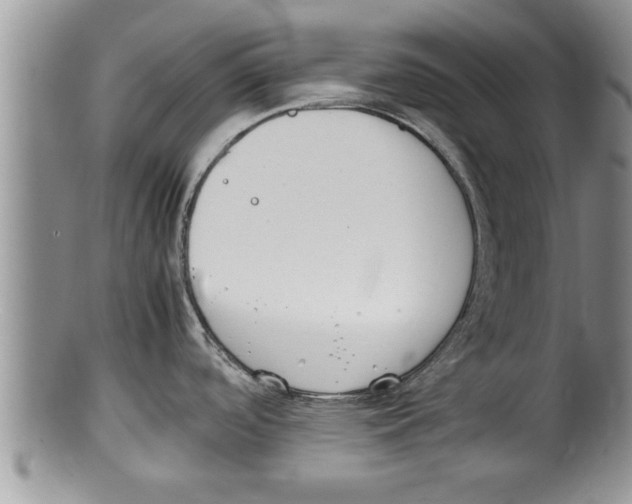 X0000100191488200806201346