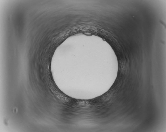 X0000100191489200806201345
