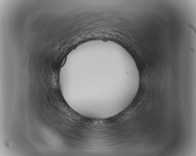 X0000100191490200806201345