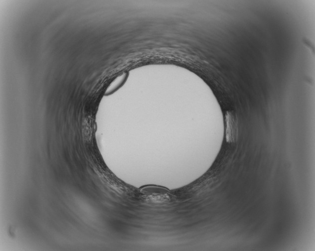 X0000100191491200806201345