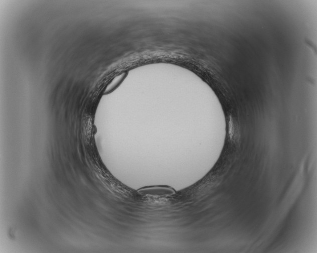 X0000100191492200806201345