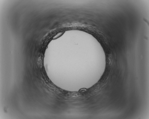 X0000100191493200806201345