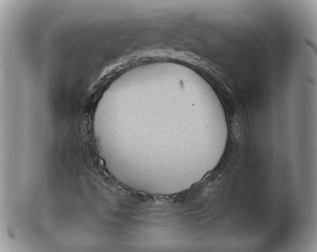 X0000100191494200806201345