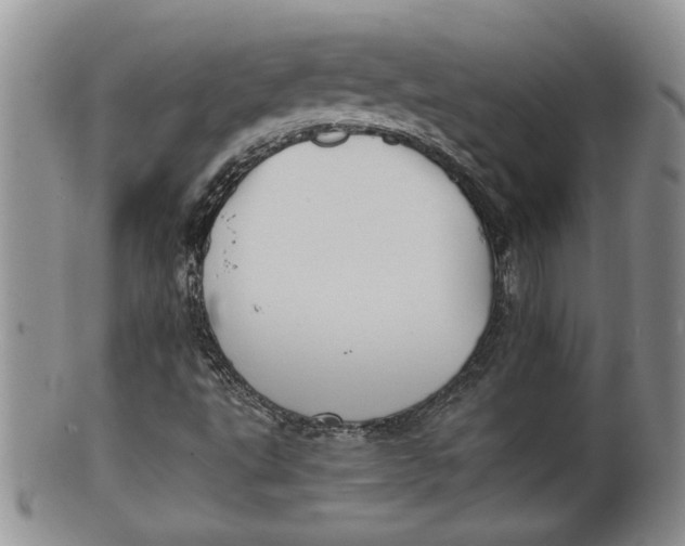 X0000100191495200806201345