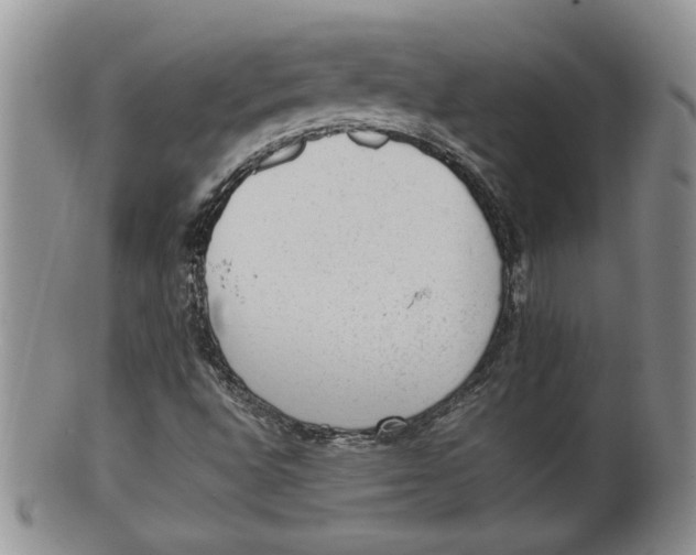 X0000100191496200806201345
