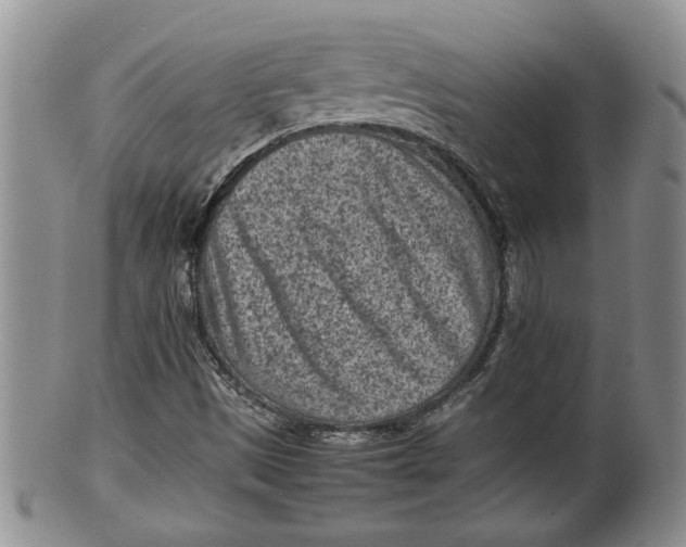 X0000100191497200806201345