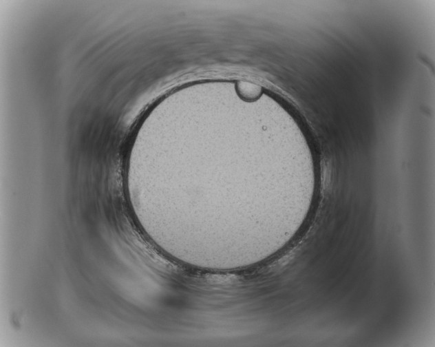 X0000100191498200806201345