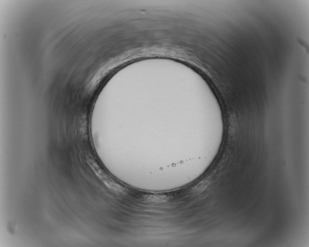 X0000100191499200806201345