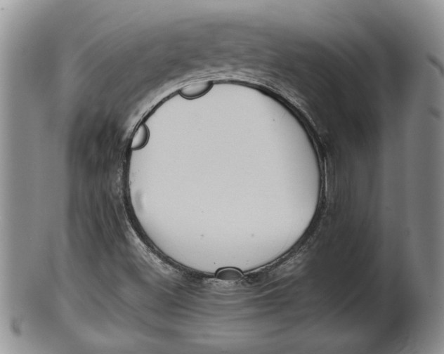 X0000100191500200806201345