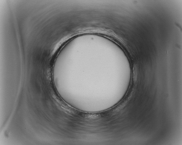 X0000100191501200806201345