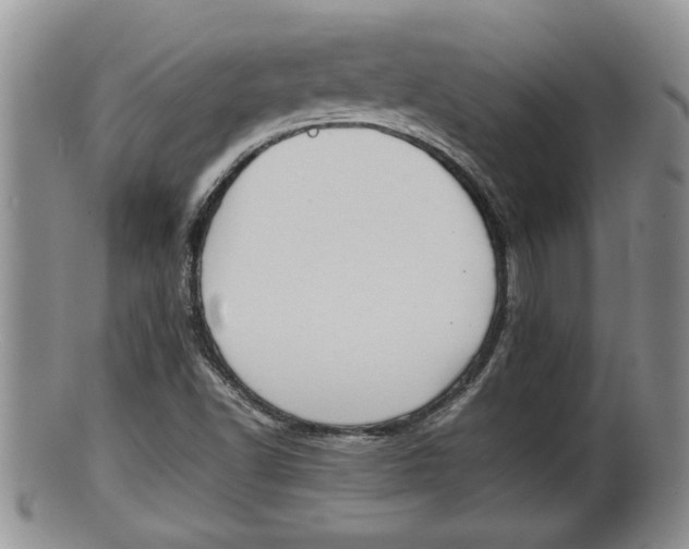 X0000100191502200806201345