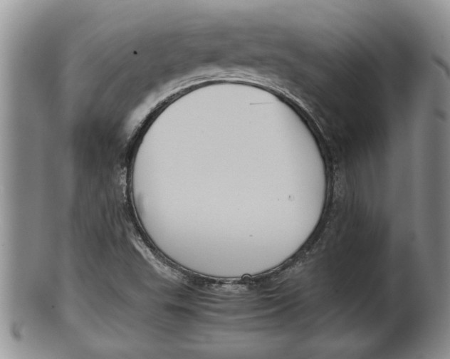 X0000100191503200806201345