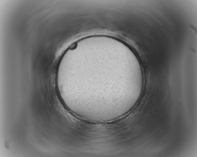 X0000100191504200806201345