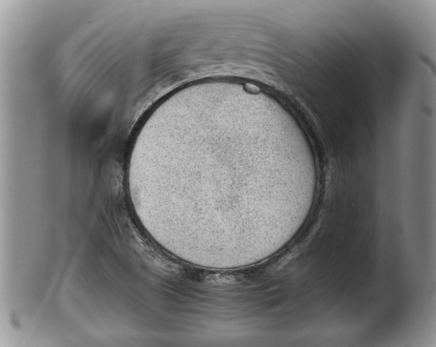 X0000100191505200806201345