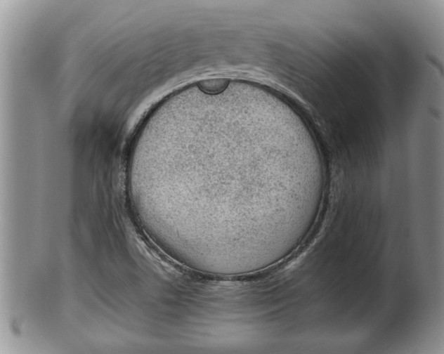 X0000100191506200806201345