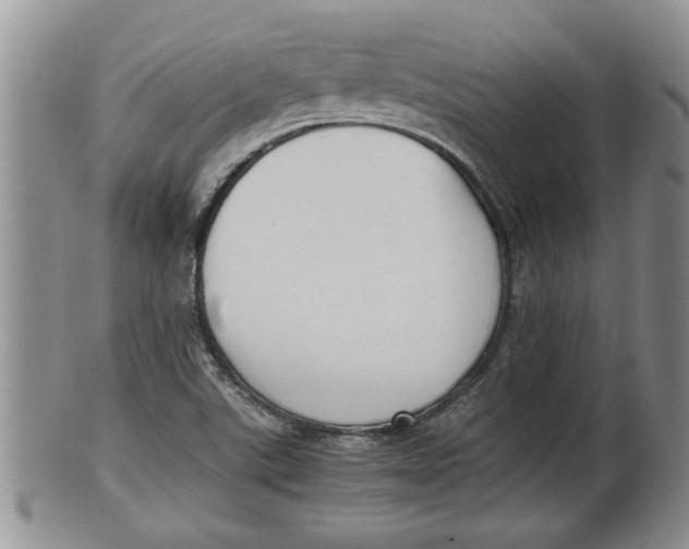 X0000100191507200806201345