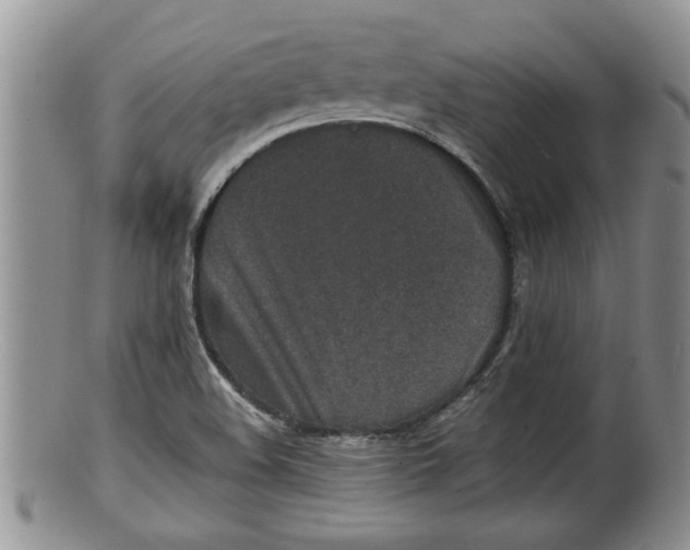 X0000100191508200806201345