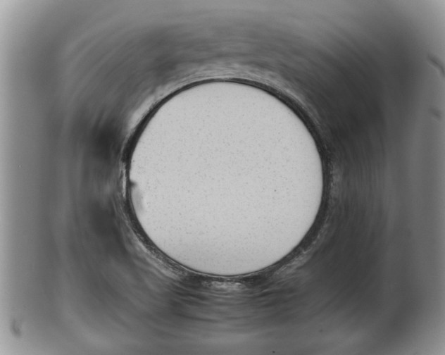 X0000100191509200806201345