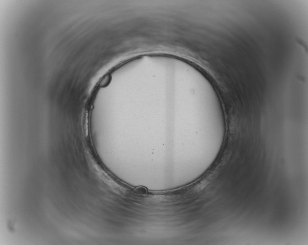 X0000100191510200806201345
