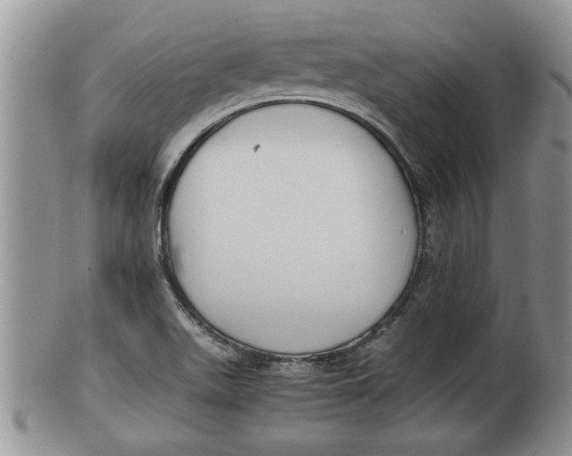 X0000100191511200806201345