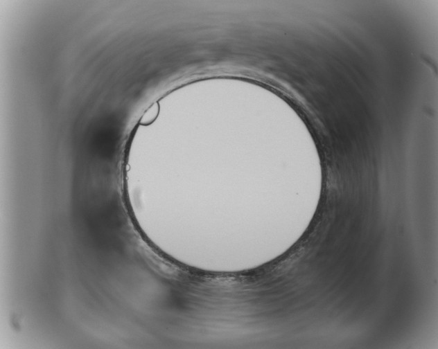 X0000100191512200806201346